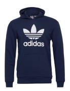 Trefoil Hoodie Blue Adidas Originals