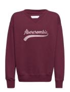 Kids Girls Sweatshirts Burgundy Abercrombie & Fitch