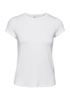 16 The Modal Tee White My Essential Wardrobe