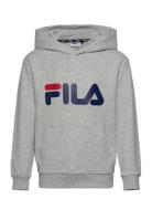 Baj Classic Logo Hoody Grey FILA