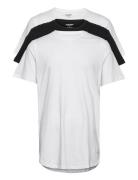 Jjenoa Tee Ss Crew Neck 3Pk Mp Noos White Jack & J S