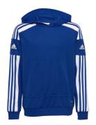 Squadra21 Hoody Youth Blue Adidas Performance