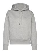 Icon G Essential Hoodie Grey GANT