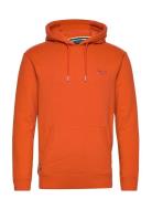 Essential Logo Hoodie Orange Superdry