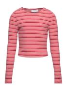 Frikke Ls Rib Tee Pink Grunt