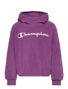 Hooded Sweatshirt Purple Champion