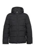 Puffer Jacket With Hood Black Tom Tailor