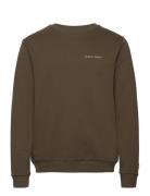 Embroidered Crew Neck Sweatshirt Khaki Lyle & Scott