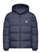 Puffer Jacket Navy Timberland