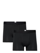 2-Pack Underwear - Gots/Vegan Black Knowledge Cotton Apparel