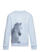 Artwork Sweatshirt Blue Tom Tailor