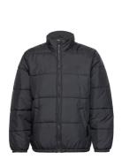 Sunset Short Puffer Jet Black Black LEVI´S Men