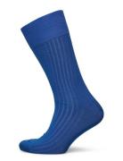 Cobalt Blue Ribbed Socks Blue AN IVY