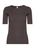 Eswalmue Ss Tshirt Solid F Brown Enkel Studio