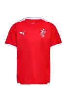 Teamliga Jersey Jr Red PUMA