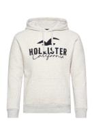 Hco. Guys Sweatshirts Grey Hollister