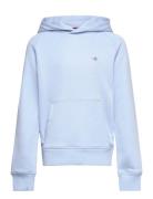 Shield Hoodie Blue GANT