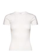 Silk T-Shirt W/ Lace White Rosemunde