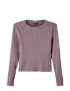 Nlffulla Ls Short Knit Purple LMTD