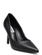 Classie Pump Black Steve Madden