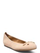 Acor24Ks Beige UNISA