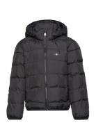 Light Padded Shield Jacket Black GANT