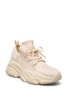 Protégé-E Sneaker Beige Steve Madden