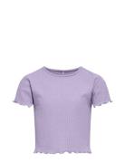 Kognella S/S O-Neck Top Noos Jrs Purple Kids Only