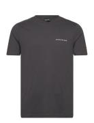 Embroidered T-Shirt Grey Lyle & Scott