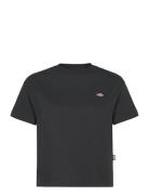 Oakport Boxy Ss Tee Black Dickies