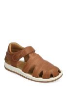 Bicho Fw Brown Camper