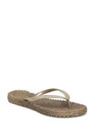 Flip-Flops Brown Ilse Jacobsen