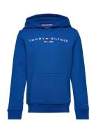 U Essential Hoodie Blue Tommy Hilfiger