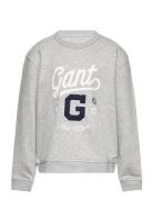 Relaxed Graphic Sweat C-Neck Grey GANT