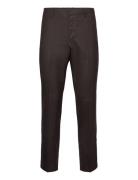 Thorpe Trouser Brown AllSaints