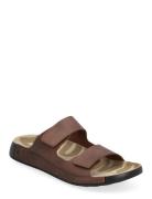 Cozmo M Brown ECCO