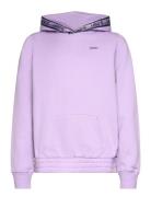 Levi's® Taping Pullover Hoodie Purple Levi's