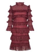 Carmine Frill Mini Lace Dress Burgundy Malina