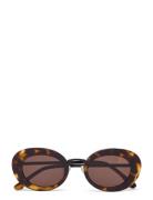 Cloud Tortoise Brown Corlin Eyewear