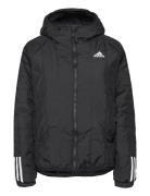 Itavic 3-Stripes Light Hooded Jacket Black Adidas Sportswear