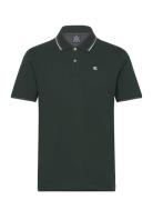 Polo Green Champion