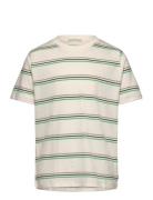 Striped T-Shirt Patterned Tom Tailor