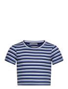 Cropped Striped Rib T-Shirt Blue Tom Tailor