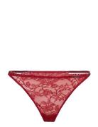 Brief Amie Thong Burgundy Lindex