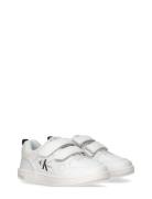 Low Cut Velcro Sneaker White Calvin Klein