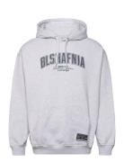 Backstage College Hoodie Grey BLS Hafnia