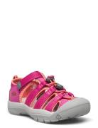 Ke Newport H2 C Berry-Fusion  Pink KEEN