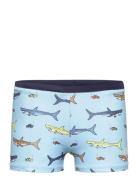 Swim Trunks, Aop Blue Color Kids