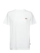 Mapleton Ss Tee White Dickies