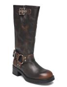 Beau Boot Brown Steve Madden